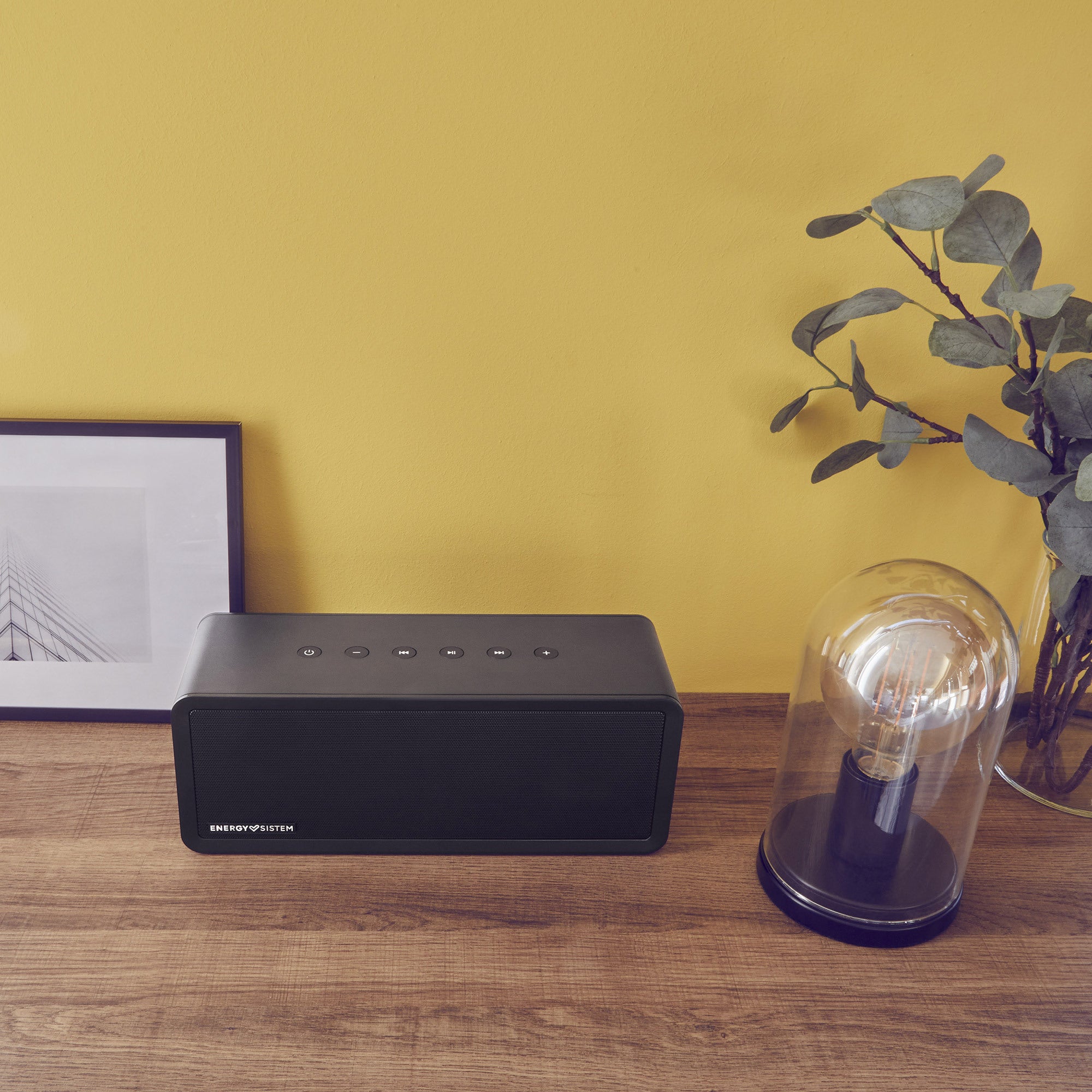 Music Box 9+