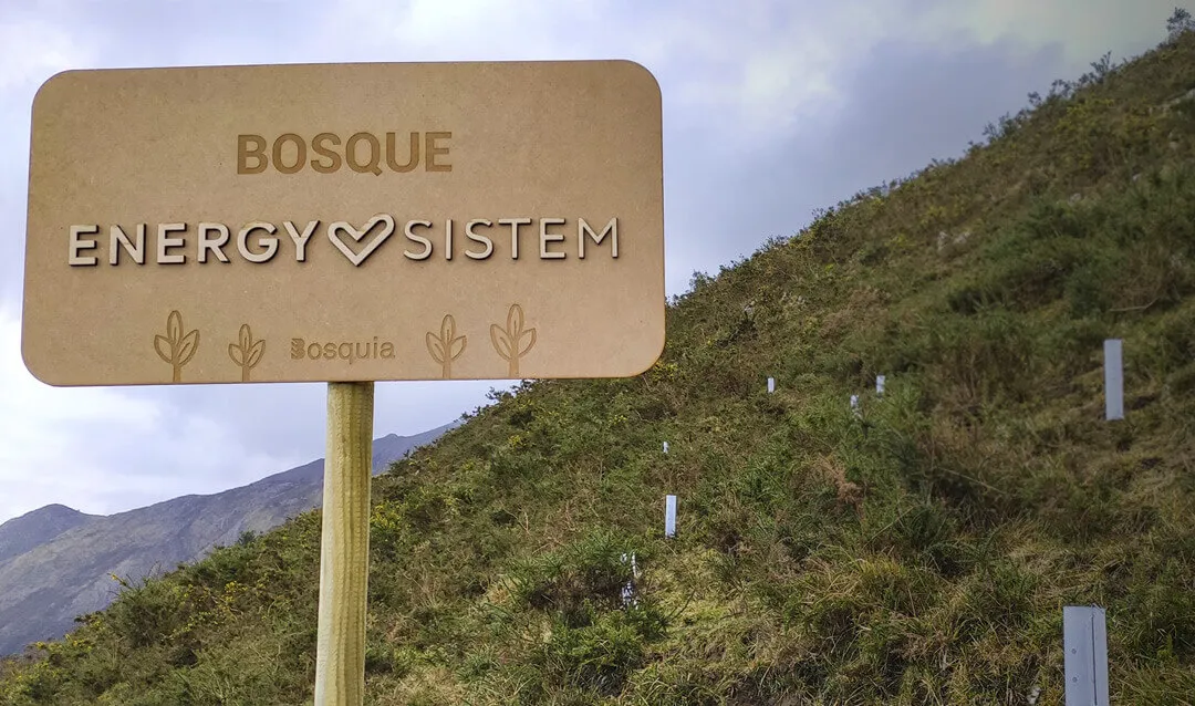 El Bosque Energy Sistem crece con una nueva plantación en Asturias