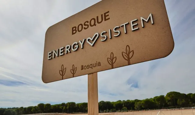 Bienvenidos al bosque Energy Sistem 